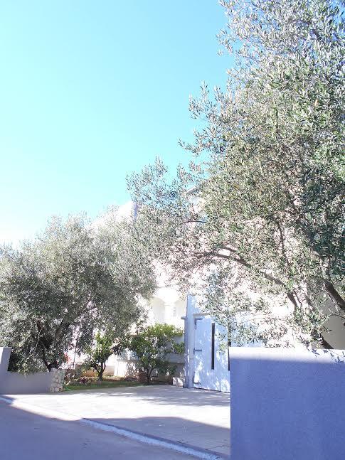 Apartments Doda Zadar Exterior photo
